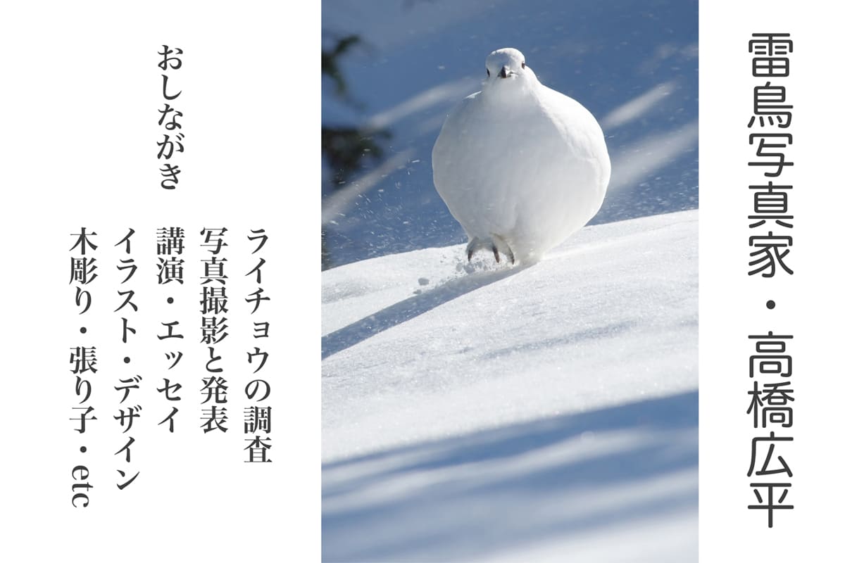 雷鳥写真家・高橋広平