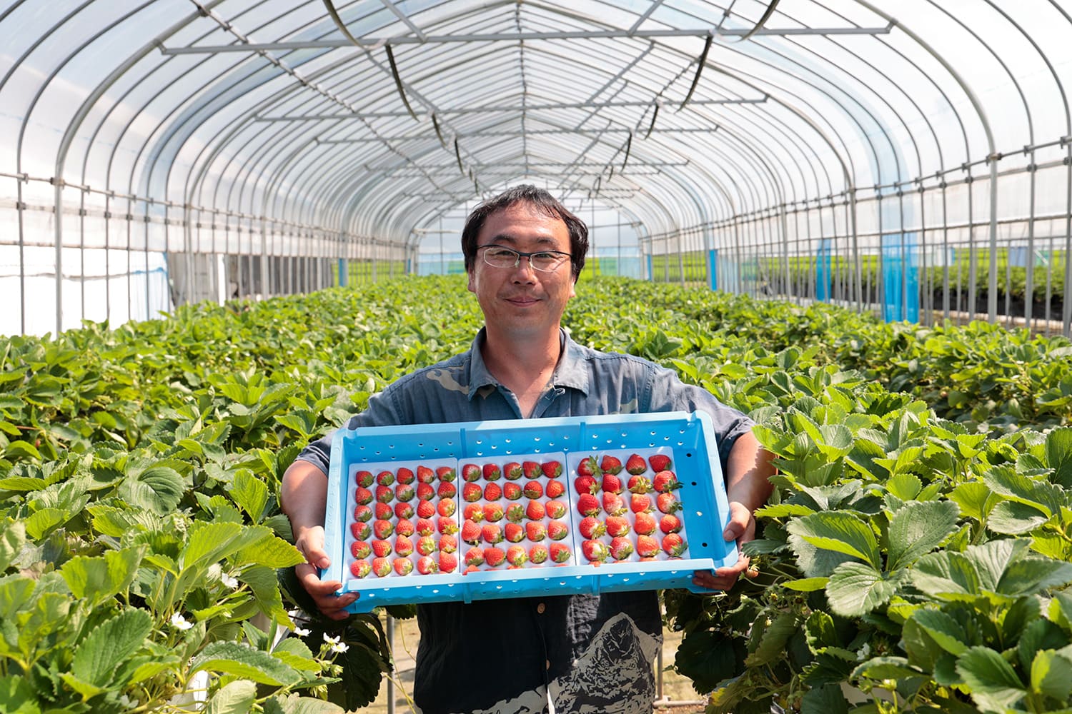 堀井勇司